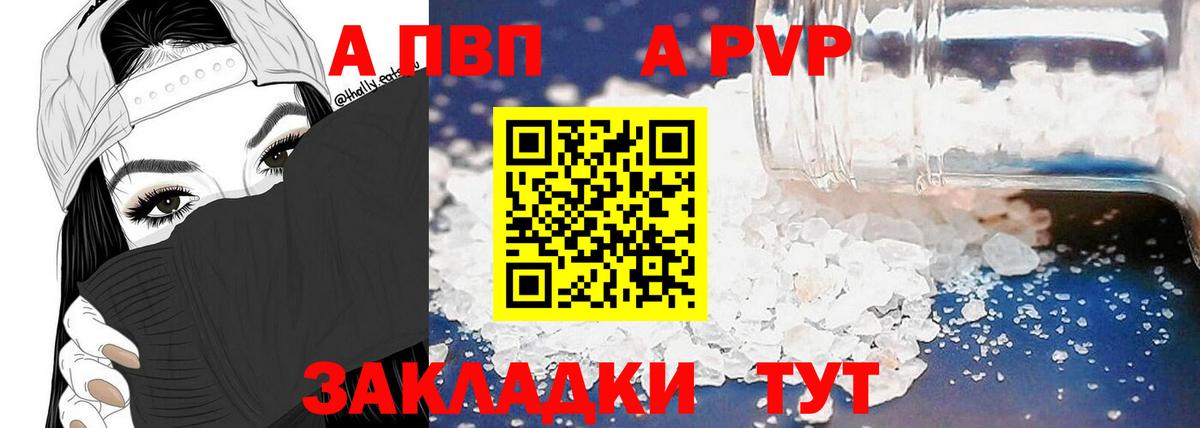 Альфа ПВП СК Гусев
