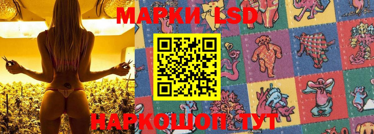 Марки 25I-NBOMe 1,8мг  Вход с VPN  как найти закладки  Гусев  Марки NBOMe 