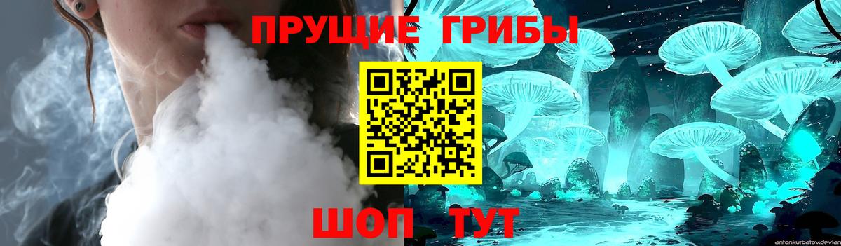 Галлюциногенные грибы мицелий Гусев