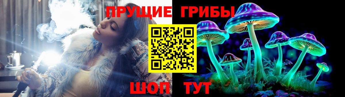 Псилоцибиновые грибы MAGIC MUSHROOMS  Вход с VPN  Гусев 
